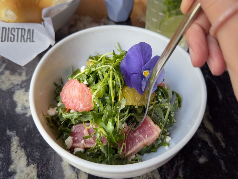 Tuna salad with grapefruit and edible flower served in La Distral Querétaro at Grand Fiesta Americana