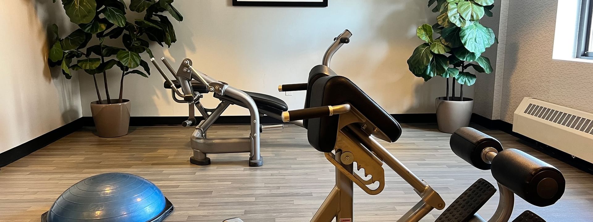 Strength training equipment and a blue balance ball in fitness room, surrounded by potted plants at Warwick Allerton Chicago