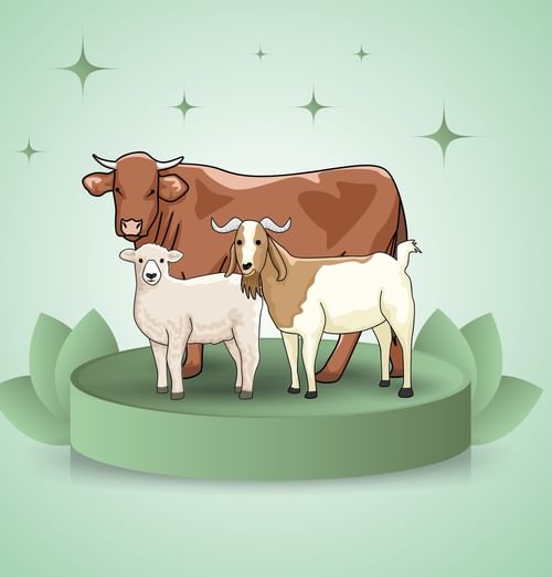 Promotion poster of Eid al Adha featuring cow, goat, and sheep on a platform by lanterns used at Warwick Jeddh Hotel & Spa