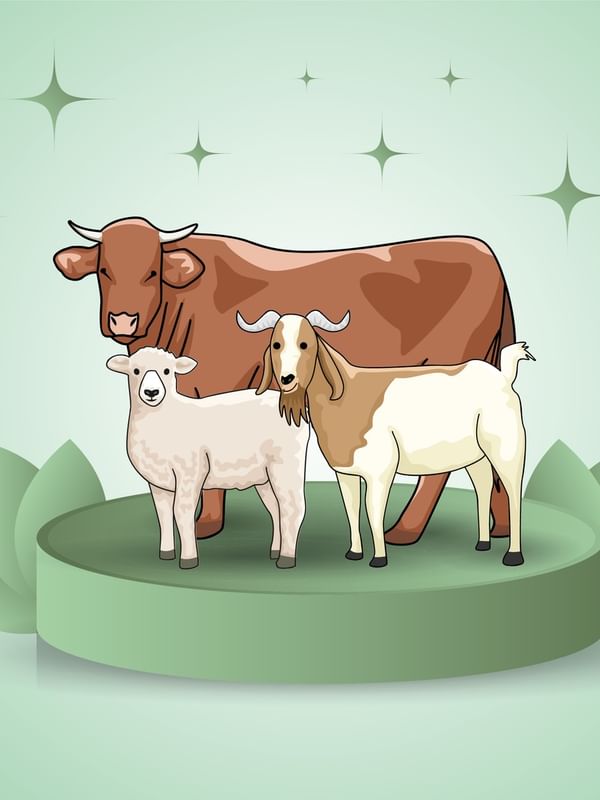 Promotion poster of Eid al Adha featuring cow, goat, and sheep on a platform by lanterns used at Warwick Jeddh Hotel & Spa