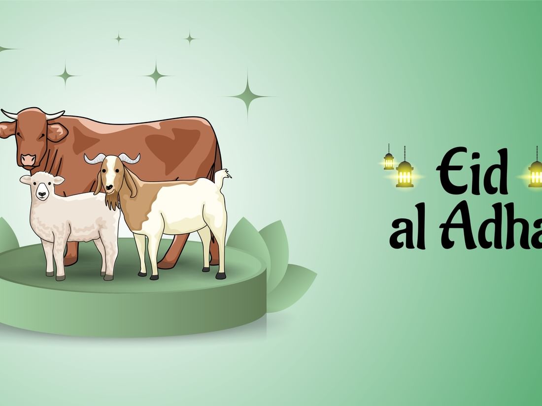 Eid al-Adha poster featuring a cow &a goat, and a sheep on a green background at Saja Warwick Madinah