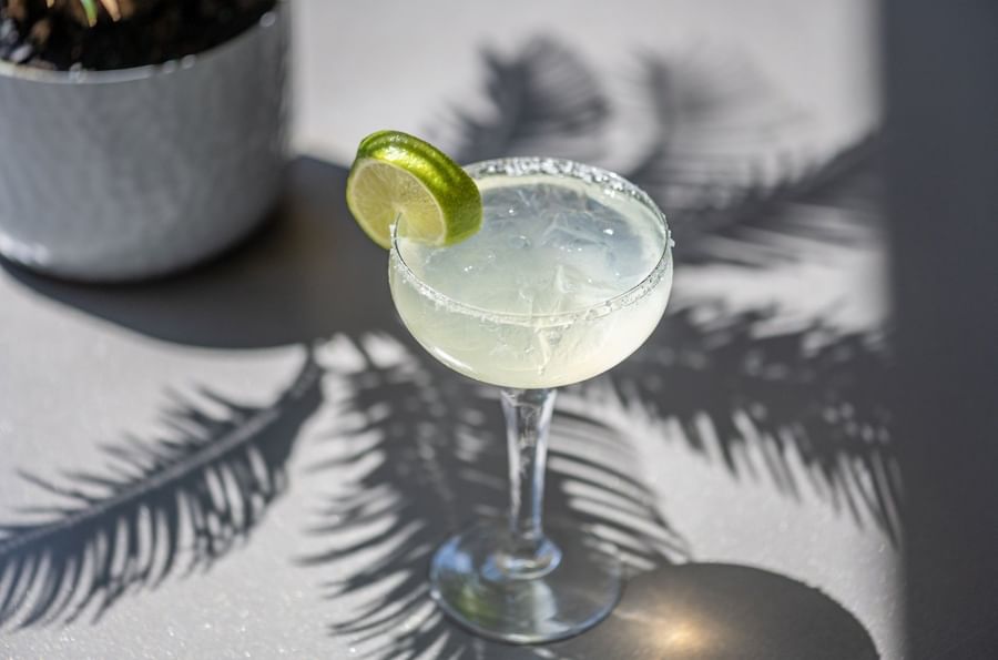 Lime cocktail on a table under palm leaf shadows at Warwick Melrose Dallas