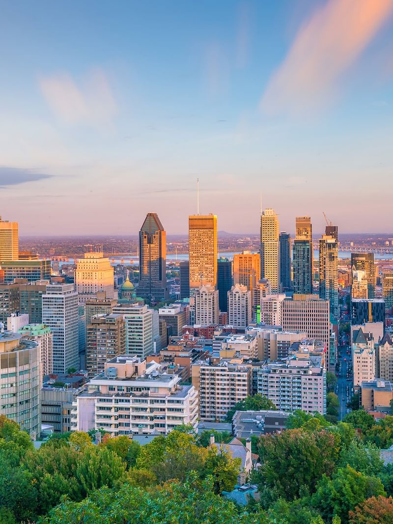 A panoramic view of Montreal's skyline with tall buildings and trees at sunset.
