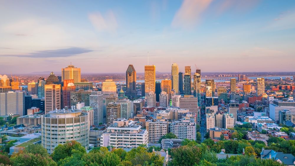 Une vue panoramique sur les toits de Montréal, avec ses gratte-ciel et ses arbres, au coucher du soleil.