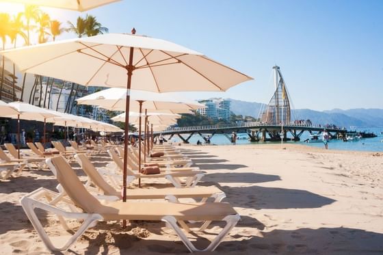 Rows of lounge chairs under umbrellas on a sandy shore facing the Los Muertos pier at Playa Los Arcos Beach Resort & Spa