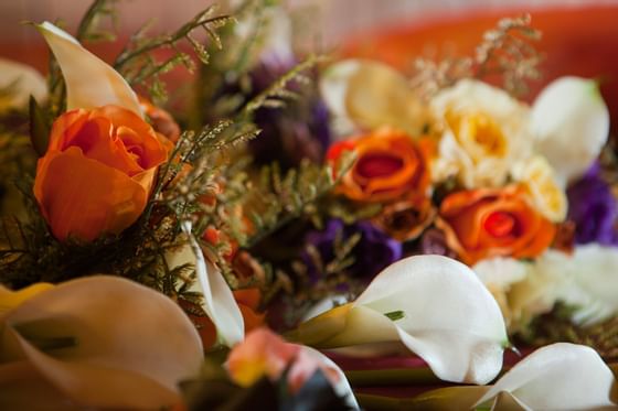 Closeup on a Flower bouquet at Strahan Village