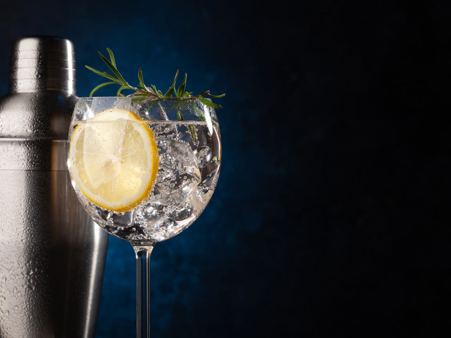 Cocktail glass with ice and a lemon slice, garnished with rosemary, next to a metal shaker at Camino Real Zaashila Huatulco