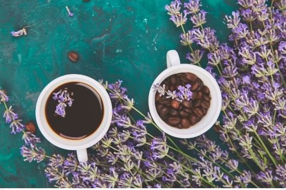 Flores de lavanda y granos de café en Orquidea Spa & Wellness en Los Altos Resort