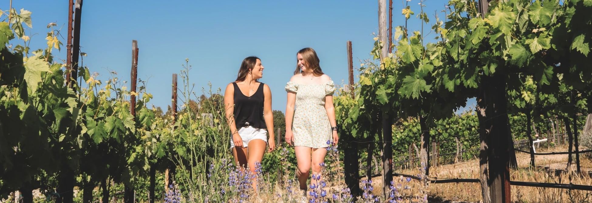 Two women walking through a vineyard looking face to face