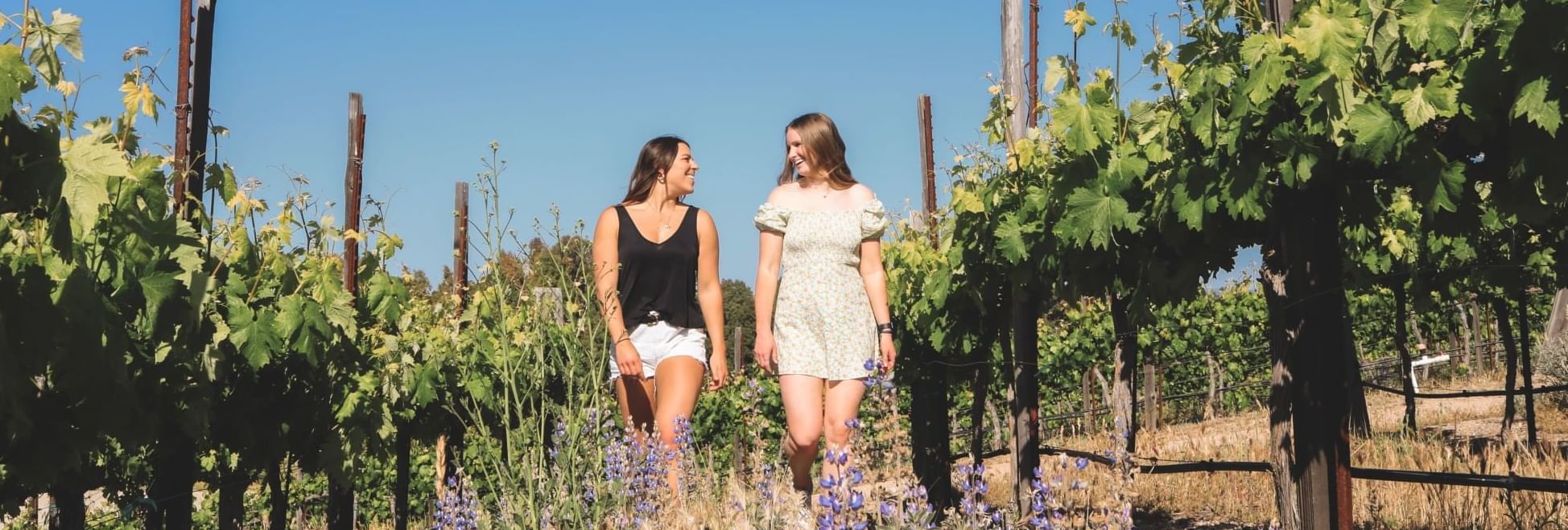 Two women walking through a vineyard looking face to face