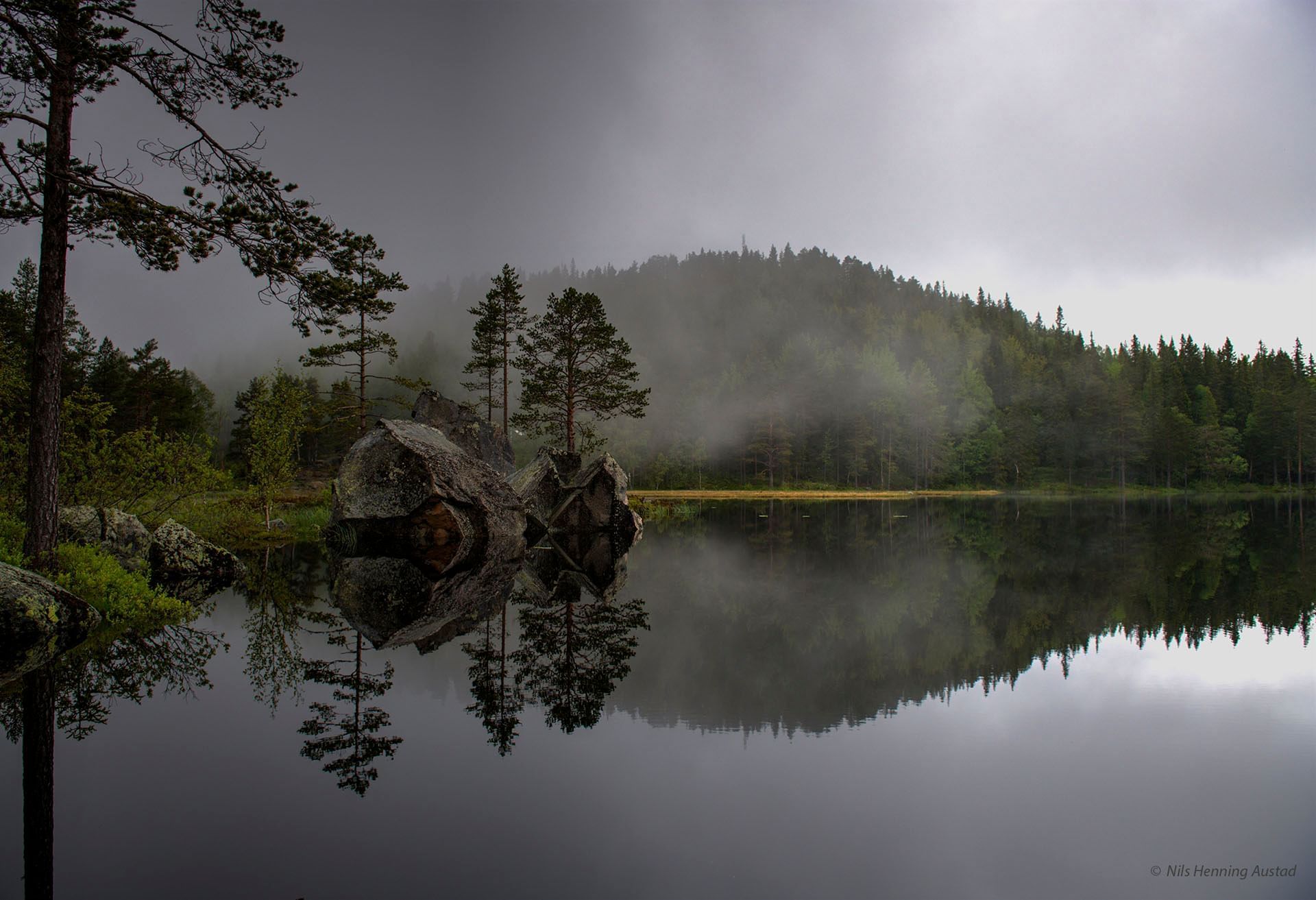 Hvalsdammen Norge