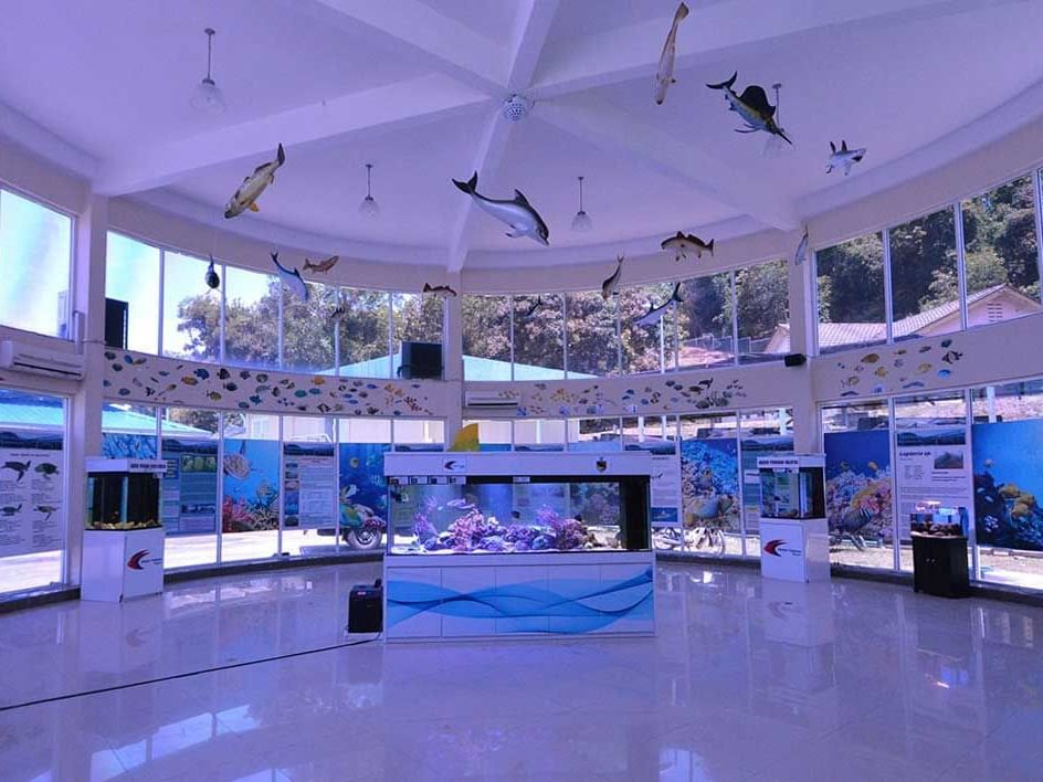 Ornamental Fish Centre