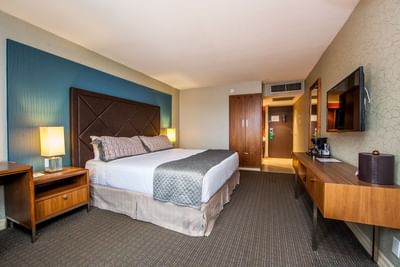 King bed, accent chair and wall mounted TV.