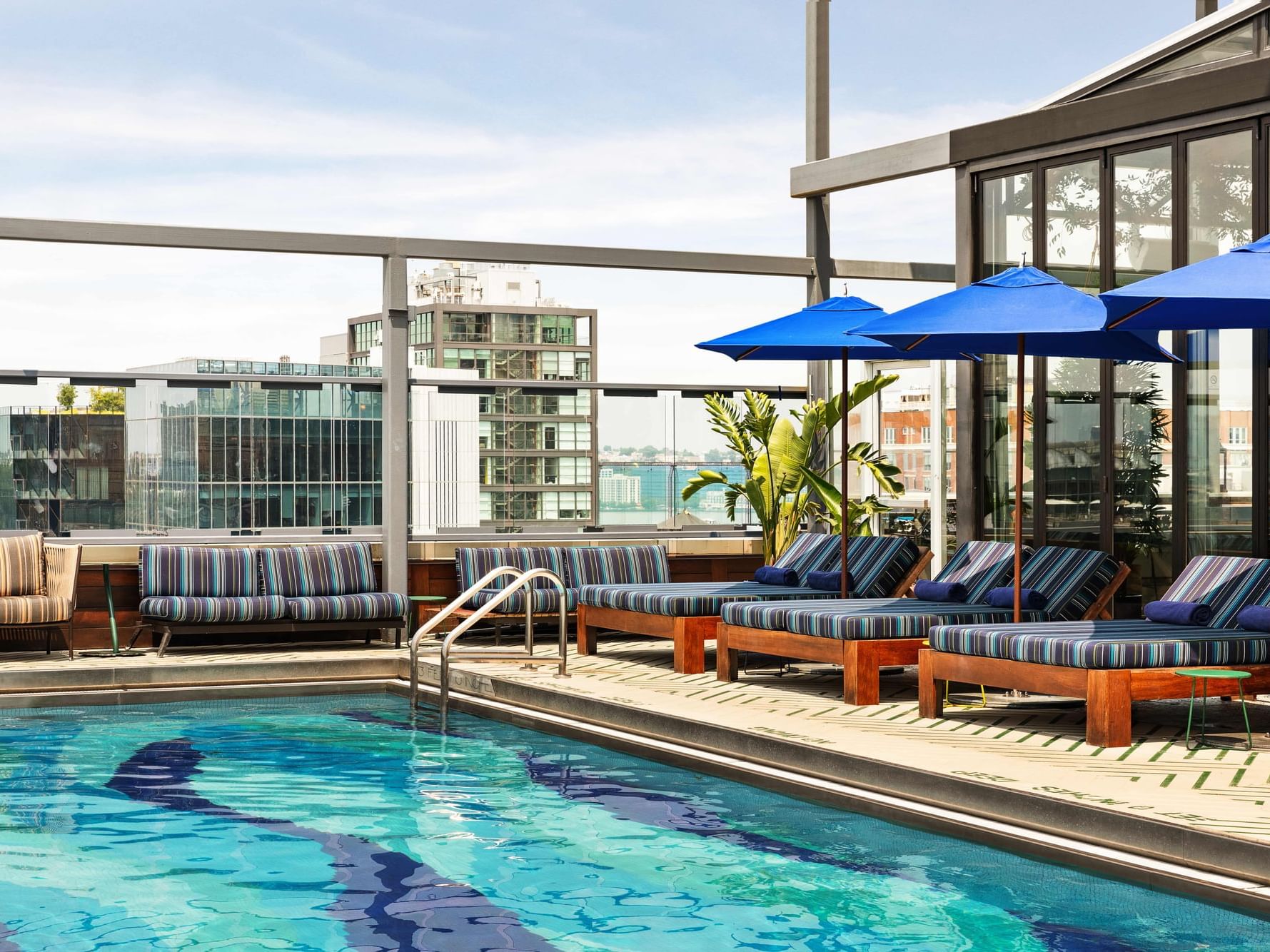 Outdoor rooftop pool with lounge chairs, umbrellas, and a cityscape view through glass walls.