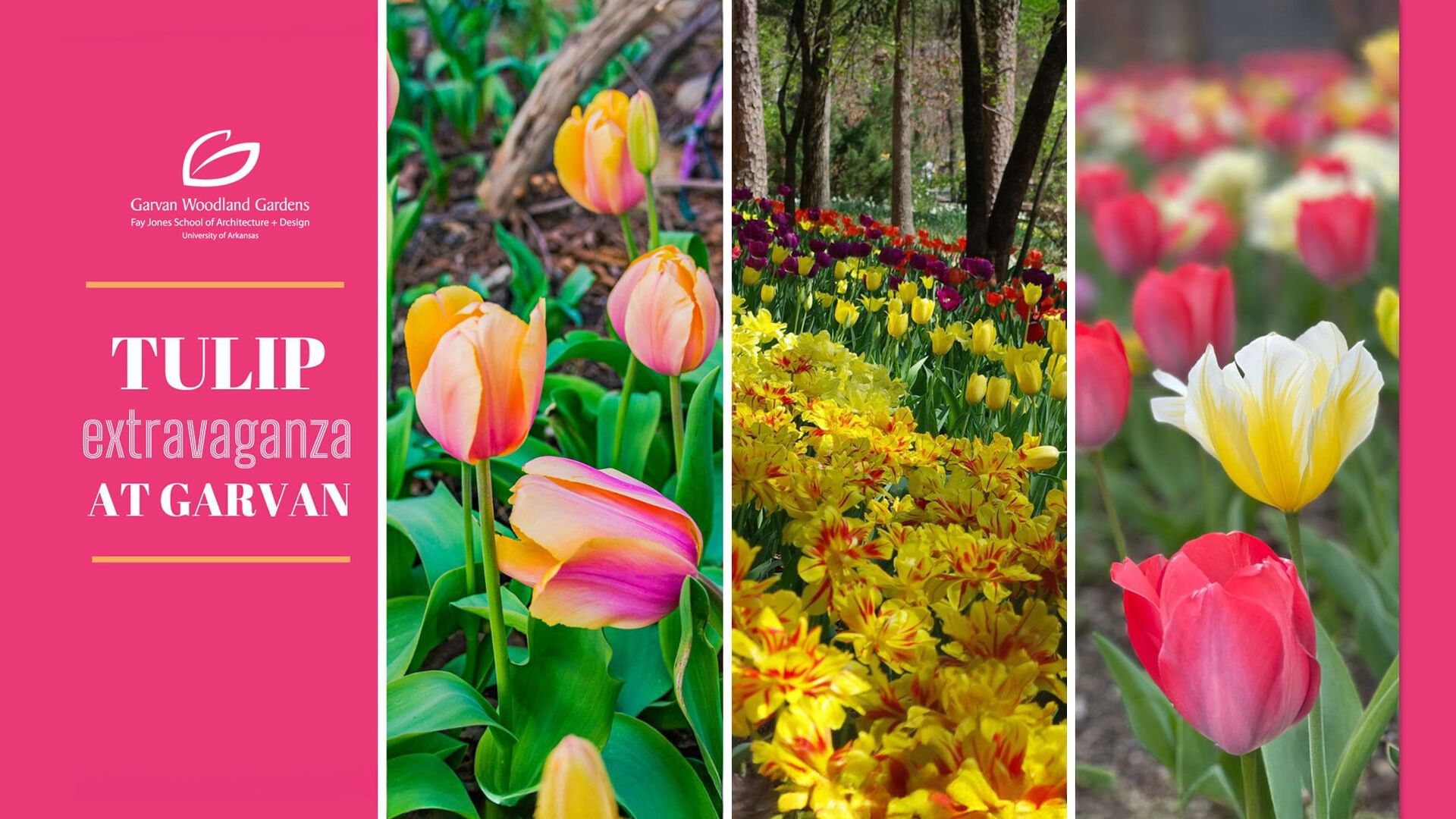 {item.first_photo.alt}