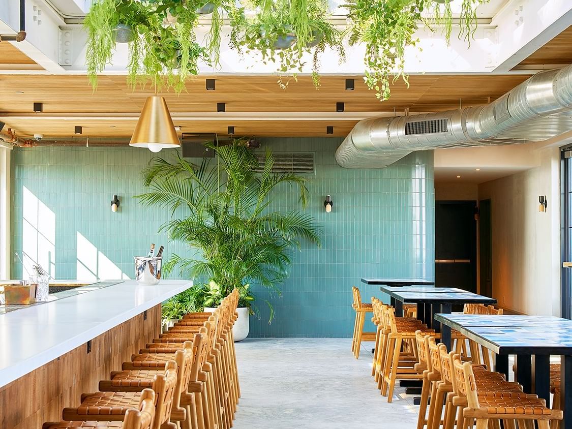 Seating area at Rooftop bar in Rockaway Hotel