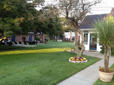 Lush lawn with lounge chairs and a charming office building in a peaceful setting at Breezeway Boutique Hotel