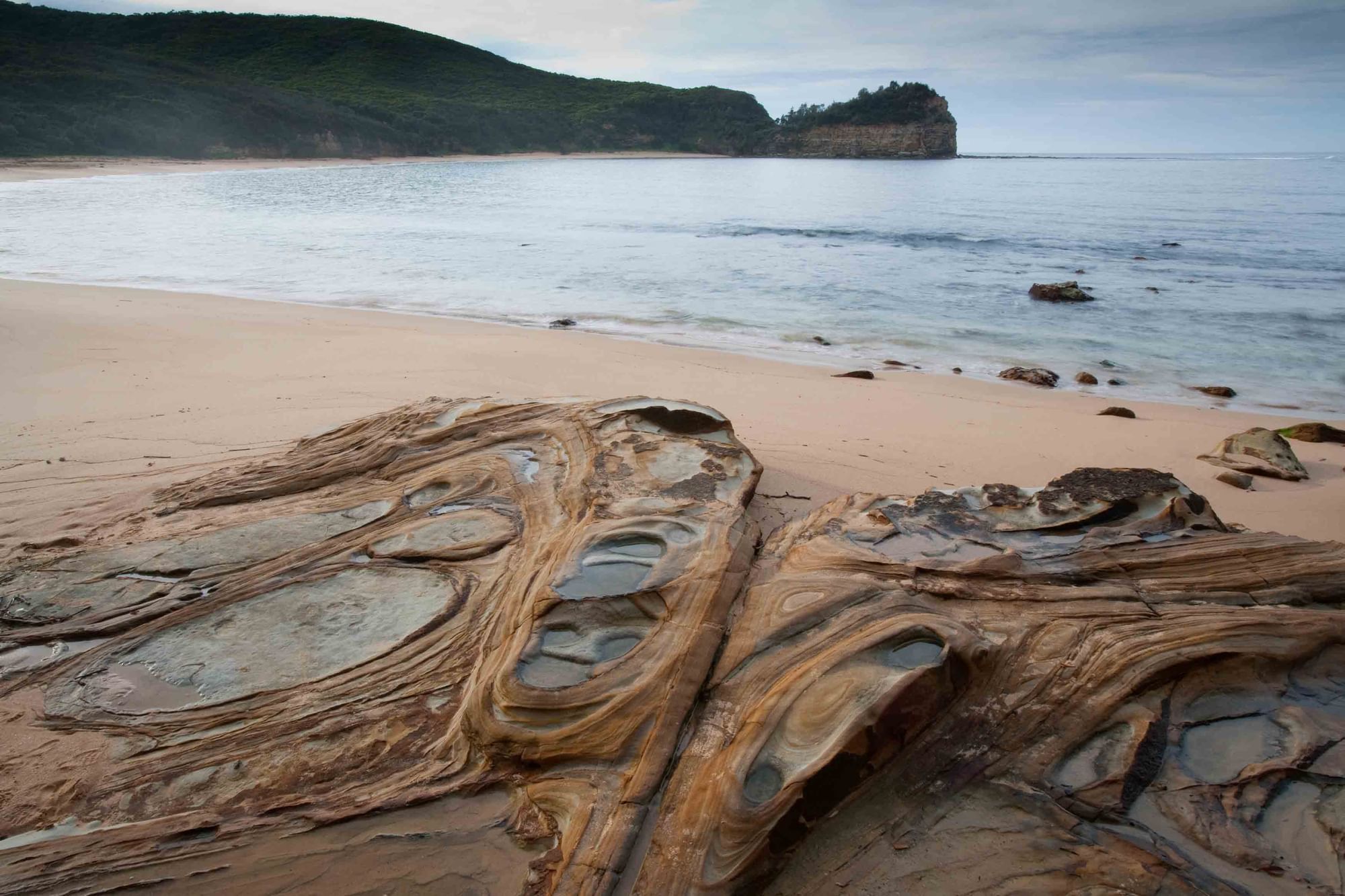 Maitland Bay Track with amazing beach view