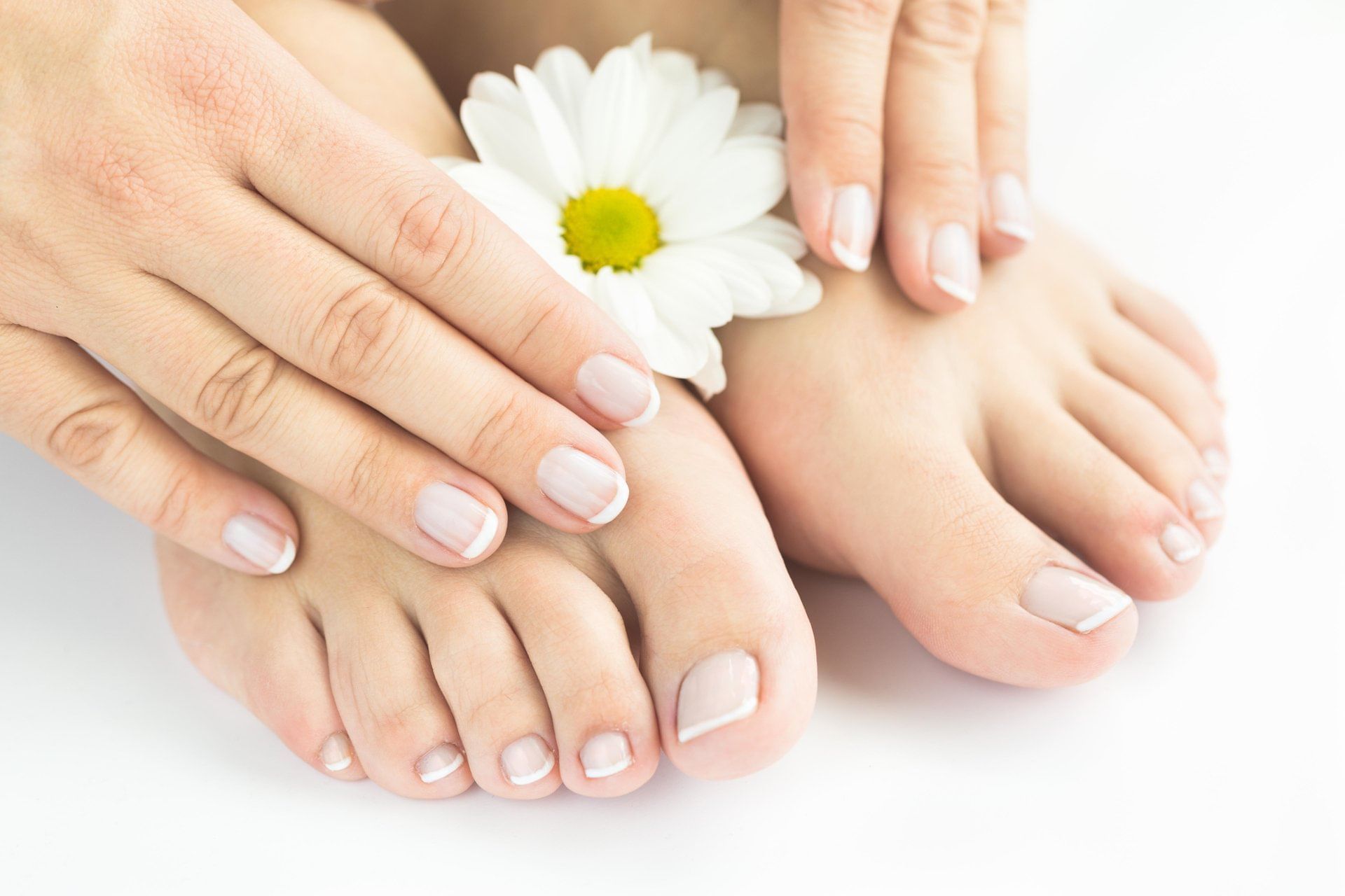 Well-manicured hands and feet with daisy flower in Vie Spa at Pullman Port Douglas sea temple resort and spa