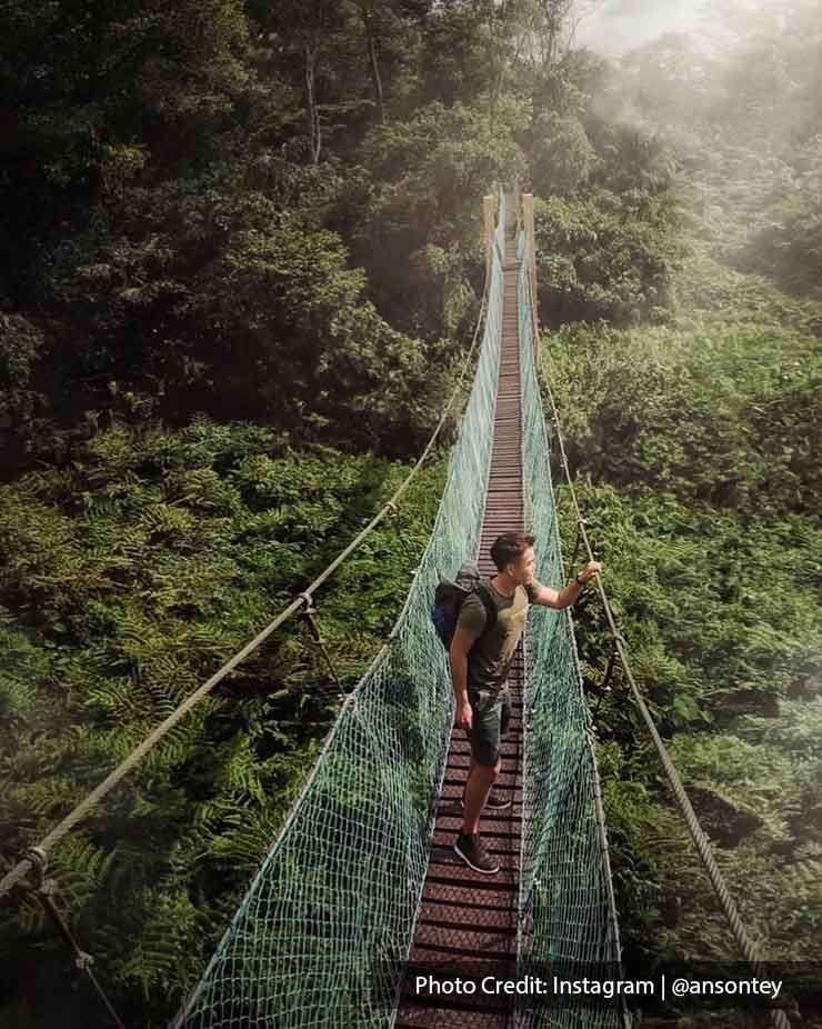 Tourist stood on the bridge at Air Hitam Dalam Educational Forest - Lexis Suites Penang