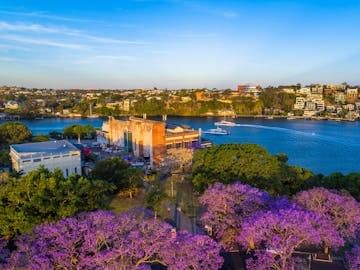 Aerial view of waterfront buildings and vibrant purple jacaranda trees along a river in New Farm