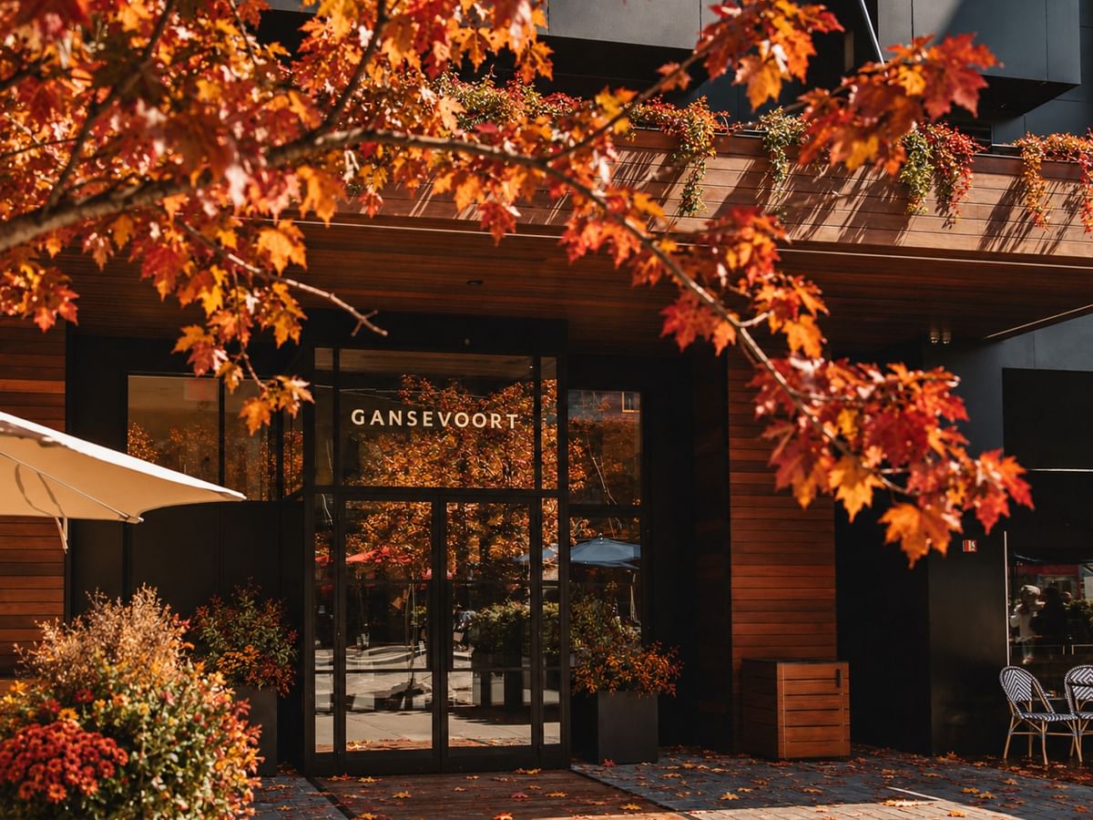 Modern hotel entrance framed by vibrant autumn foliage with warm sunlight illuminating the wooden facade and glass doors.