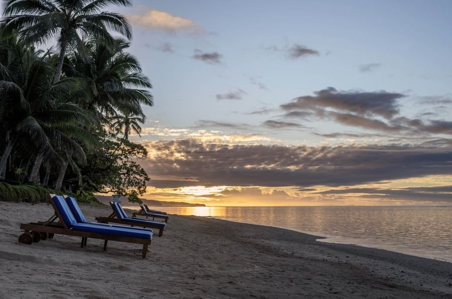 Blue lounge chairs by a sandy shore under a golden sunset near tropical palms near Warwick Fiji Resort and Spa