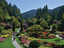 Distant view of The Butchart Gardens with colorful flowers near Pendray Inn & Tea House