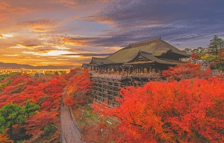 Autumn Kyoto | Best Hotel Kyoto | Park Hotel Kyoto 