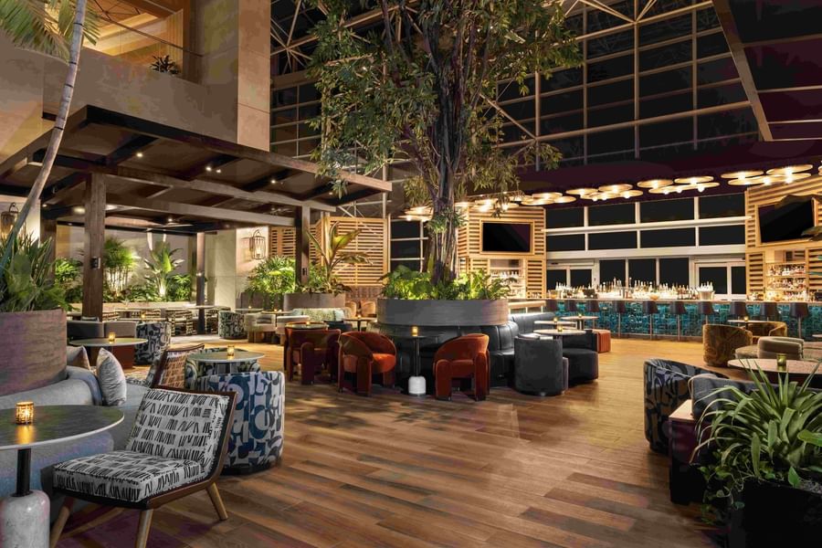 The Hotel Bar's stylish lounge with large windows, lush plants, and cozy seating at The Diplomat Resort