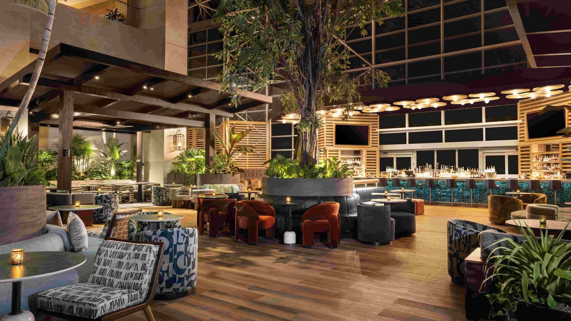 Newly Reimagined Hotel Bar - Evening
