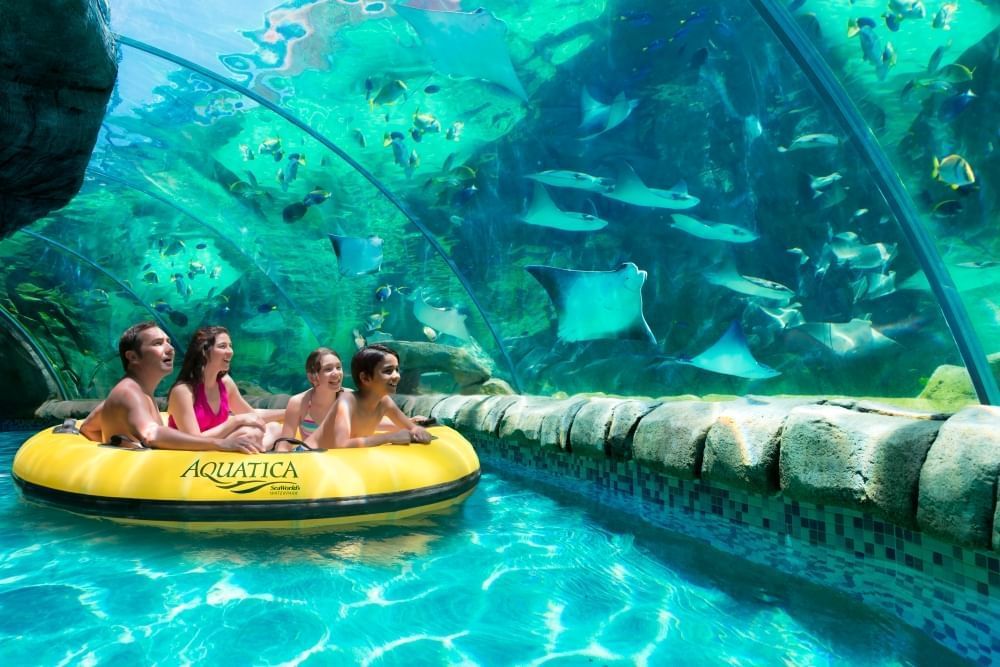 A family in a yellow Aquatica raft float through a translucent grotto with an aquarium of sting rays and fish. 