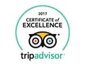 Tripadvisor Certificate of Excellence used at Metterra Hotel on Whyte