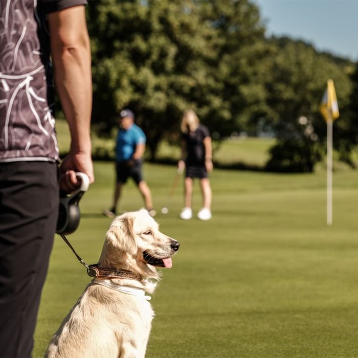 Man walking a dog on a golf course at Falkensteiner Hotel Bad Leonfelden