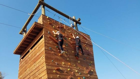Two people on climbing wall