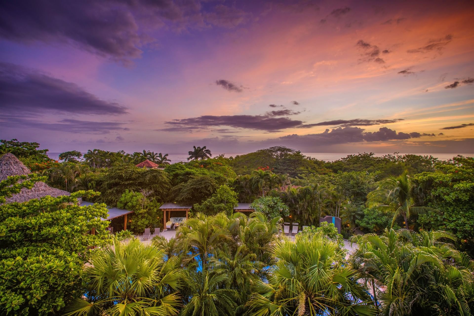 Breathtaking purple and orange sunset over the tropical canopy and ocean horizon near Cala Luna Boutique Hotel
