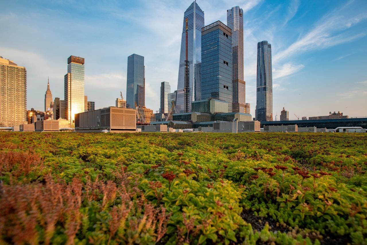 A rooftop with a green roof and a view of the city skyline
