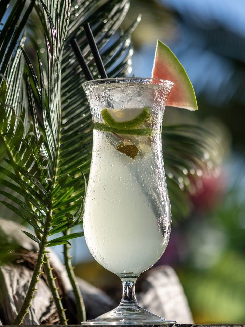 Icy cocktail with fruit by green palm leaves in Sunset Terrace Bar at Warwick Fiji Resort and Spa