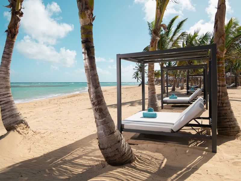 Daybeds on the beach with palm trees & view of the sea at Live Aqua Resorts and Residence Club