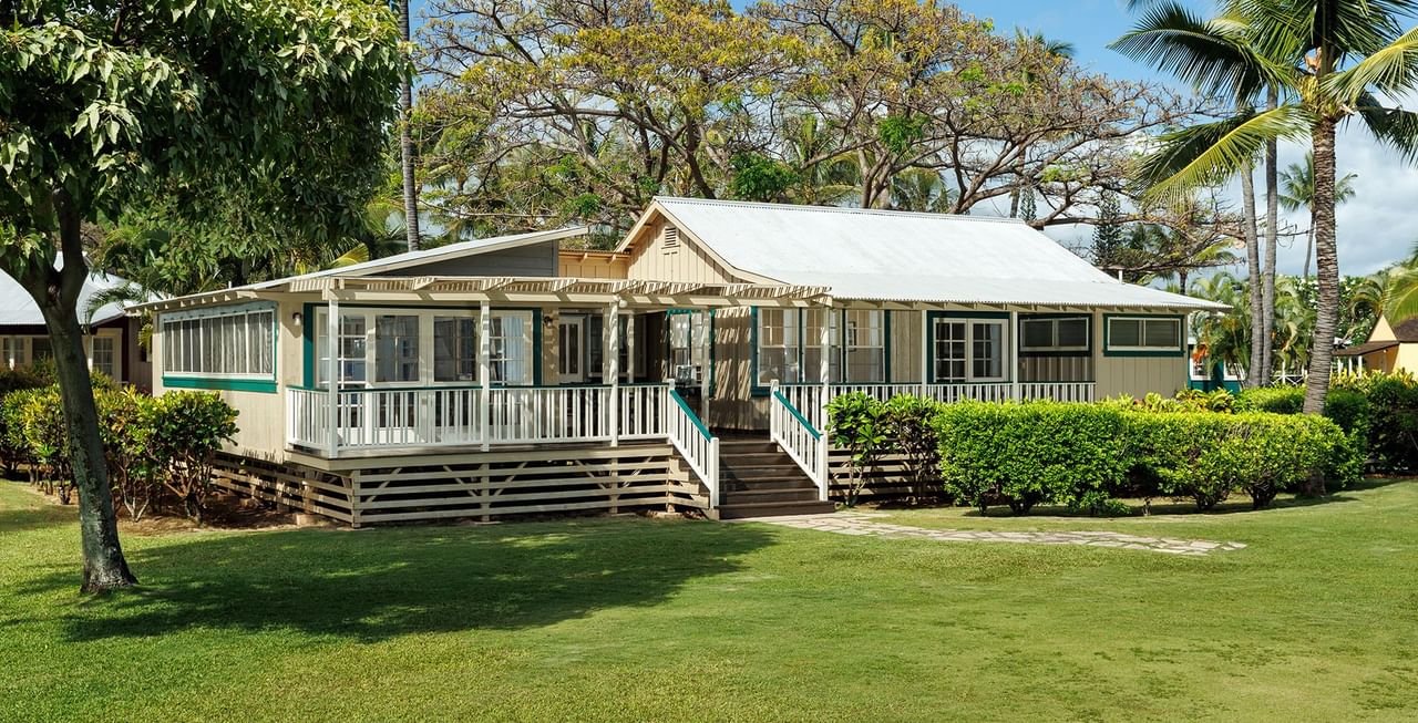 Cottage surrounded by trees