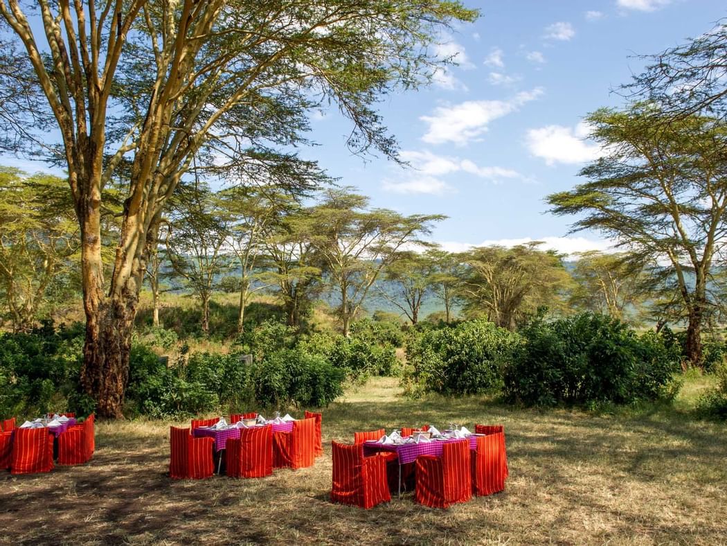 Outdoor Dining area in The Bush Dinner at Ngorongoro Serena