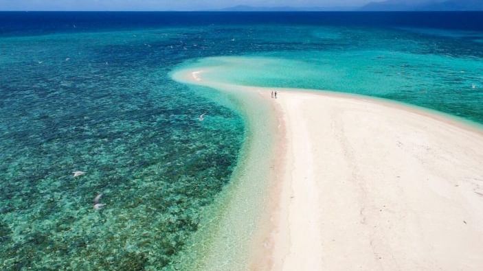Aerial view of Mackay Coral Cay with sea and lush greenery near Pullman Port Douglas