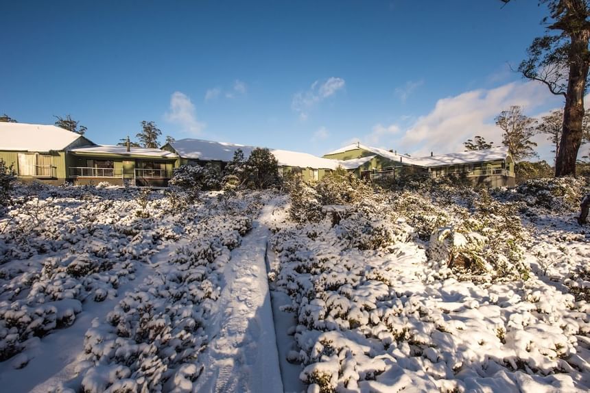 Road covered with snow near Cradle Mountain Hotel