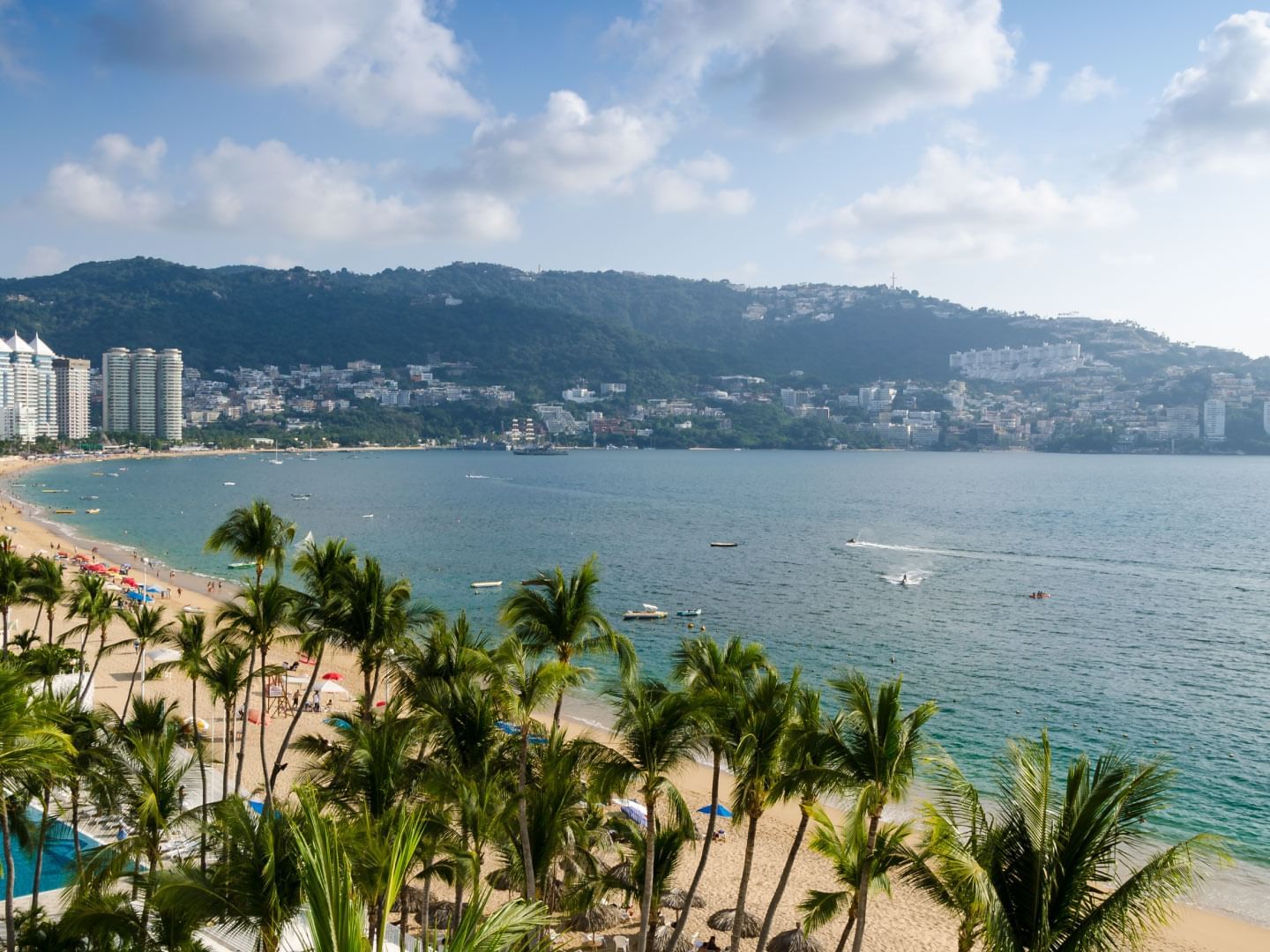 A beach line with palm trees in the Acapulco beach resort town