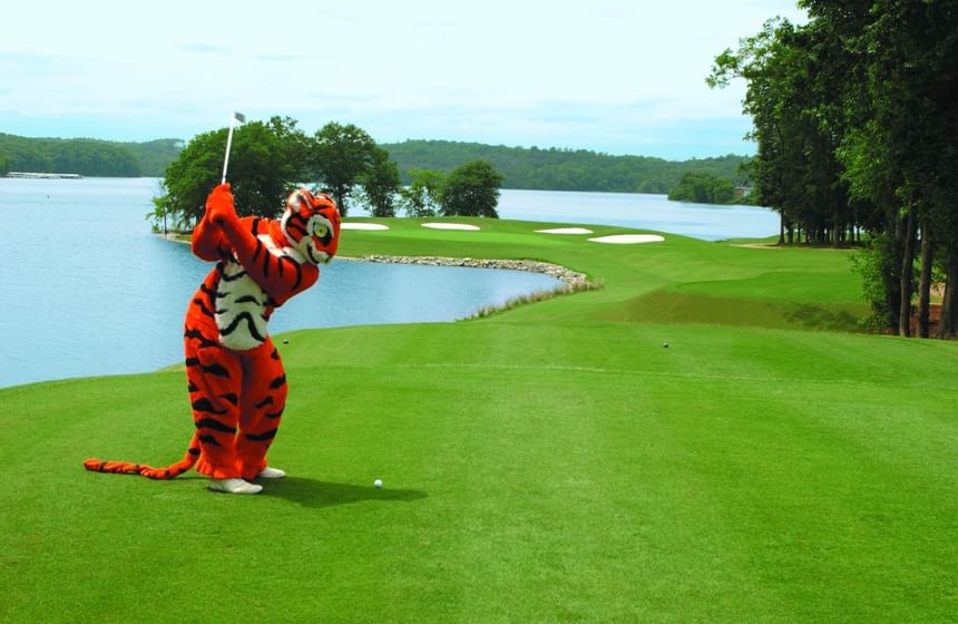 Tiger mascot swinging golf club on green course along Lake Hartwell waters at Clemson University Conference Center & Inn