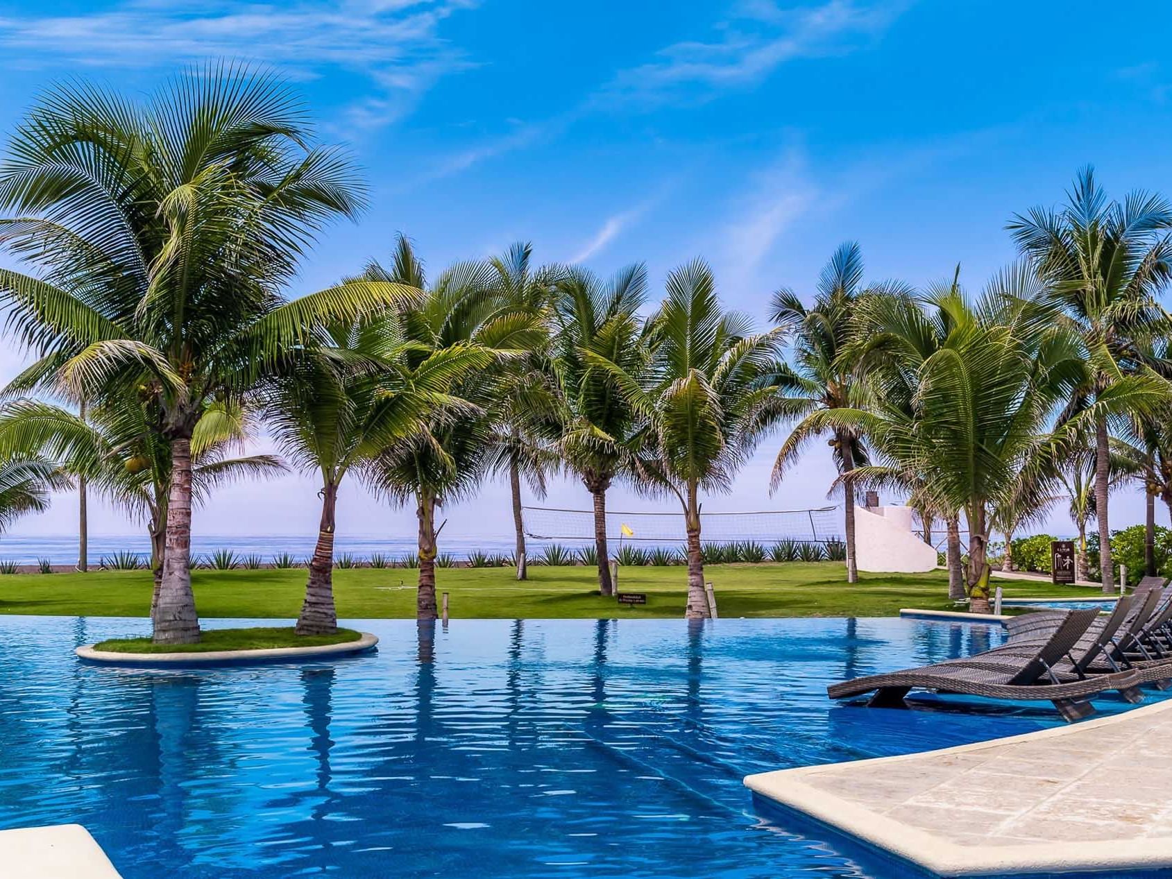 Trees & sunbeds in the Beach Front Garden at La Mar Monterrico