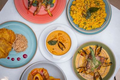 Vibrant spread of seafood dishes and rice on colorful plates served in Restaurante Las Palmas at Dann Carlton Cali