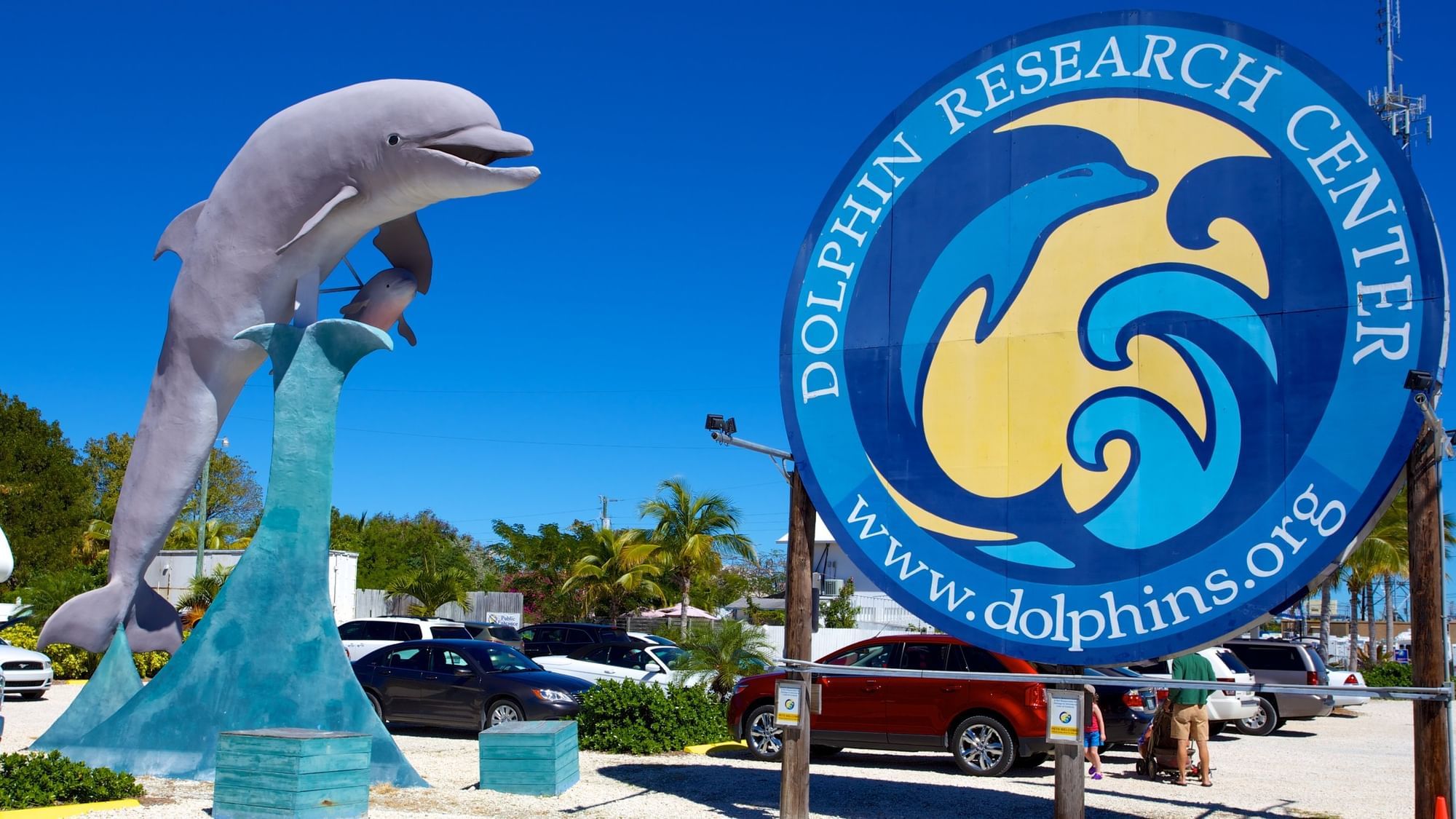 Dolphin Research Center - Dolphin Research Center