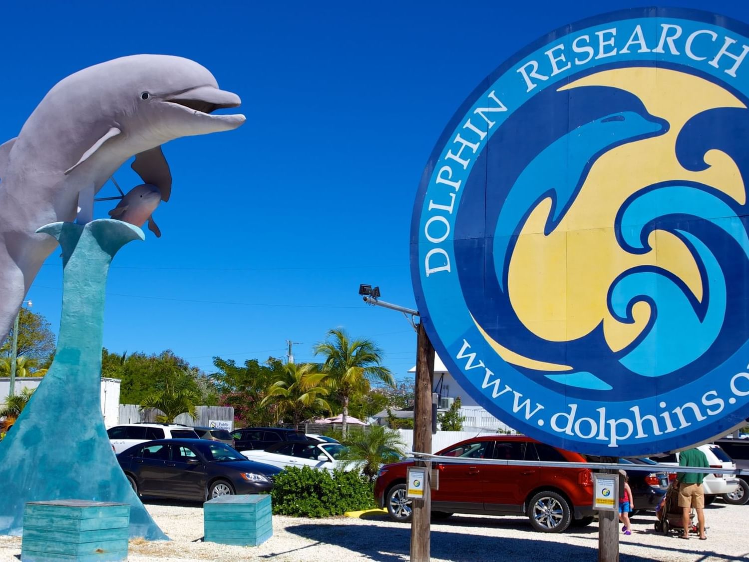 Dolphin statue in the outside of Dolphin Research Center car park near Bayside Inn Key Largo