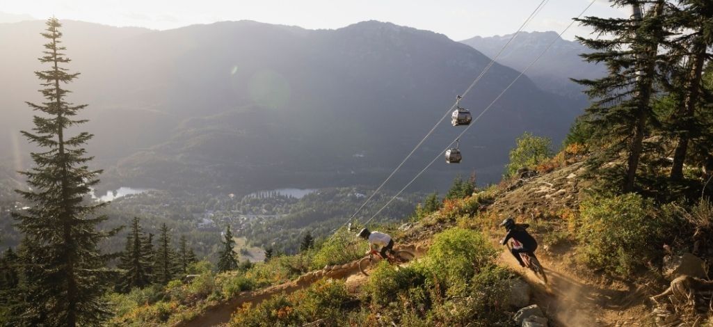 Mountain bikers on Whistler trail